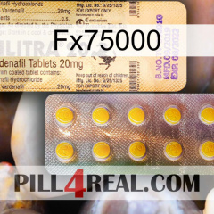 Fx75000 new06